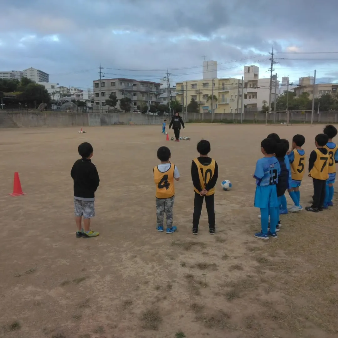 1月10日(金)～11日(土)