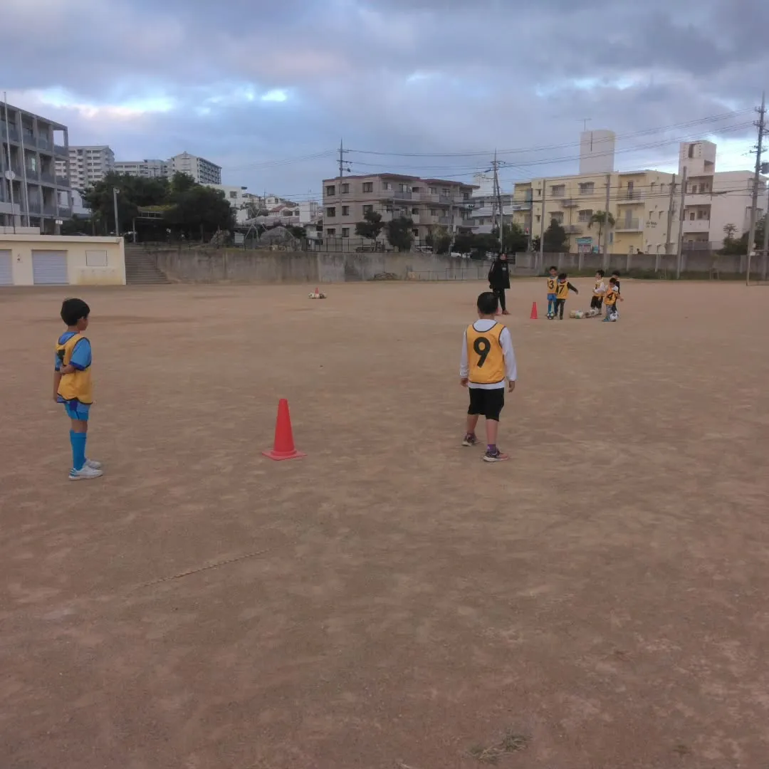 1月10日(金)～11日(土)