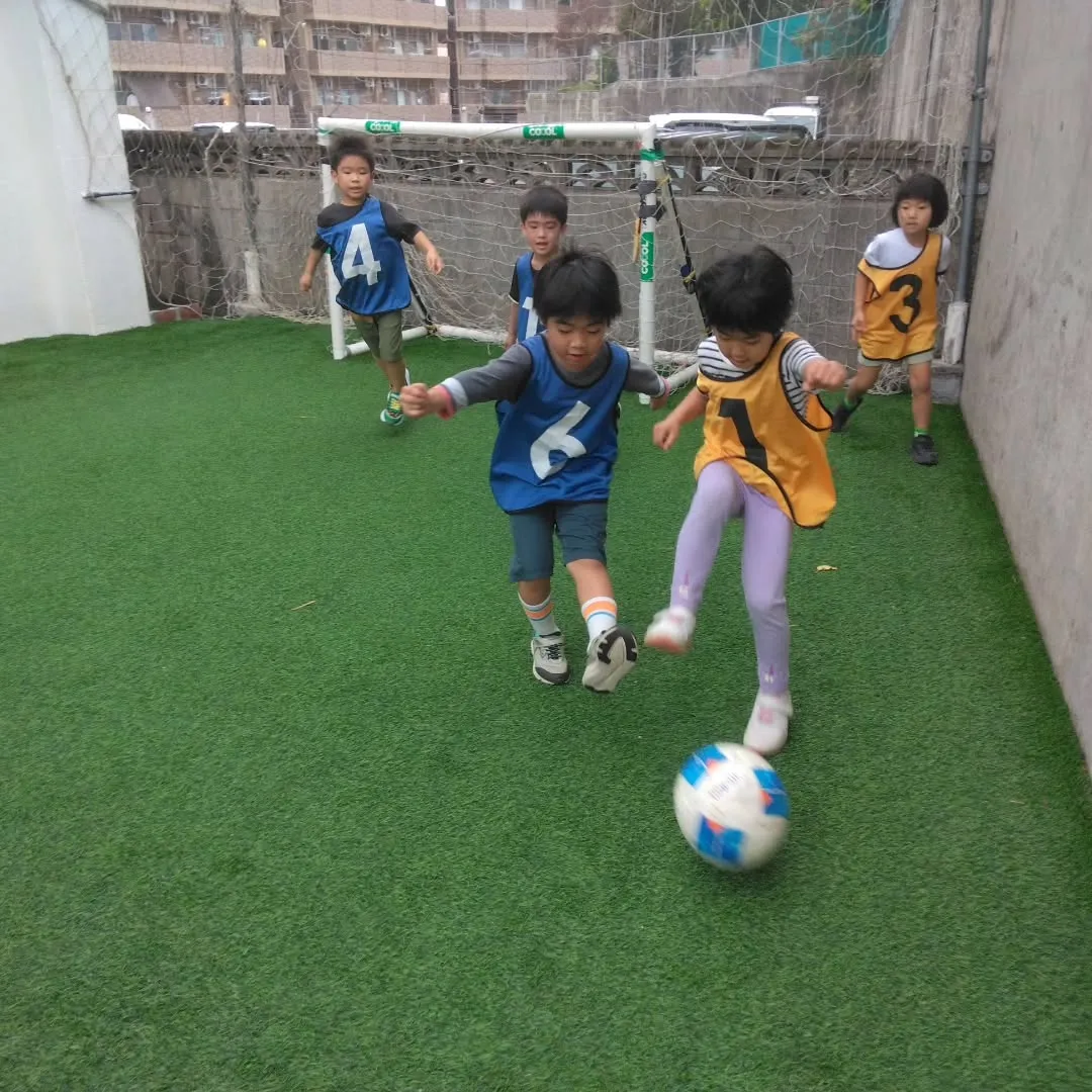 7月29日 最新情報